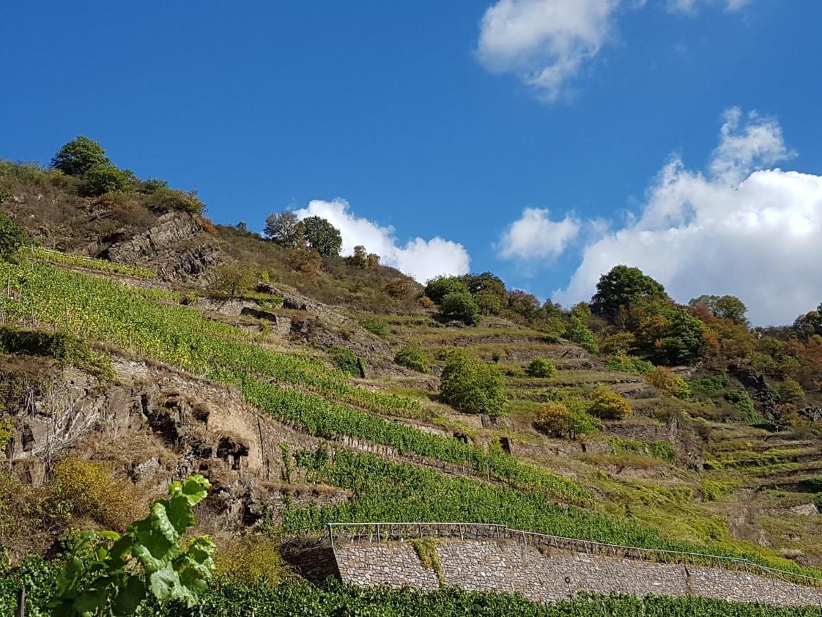 فندق Winzerhof Gietzen Hatzenport المظهر الخارجي الصورة