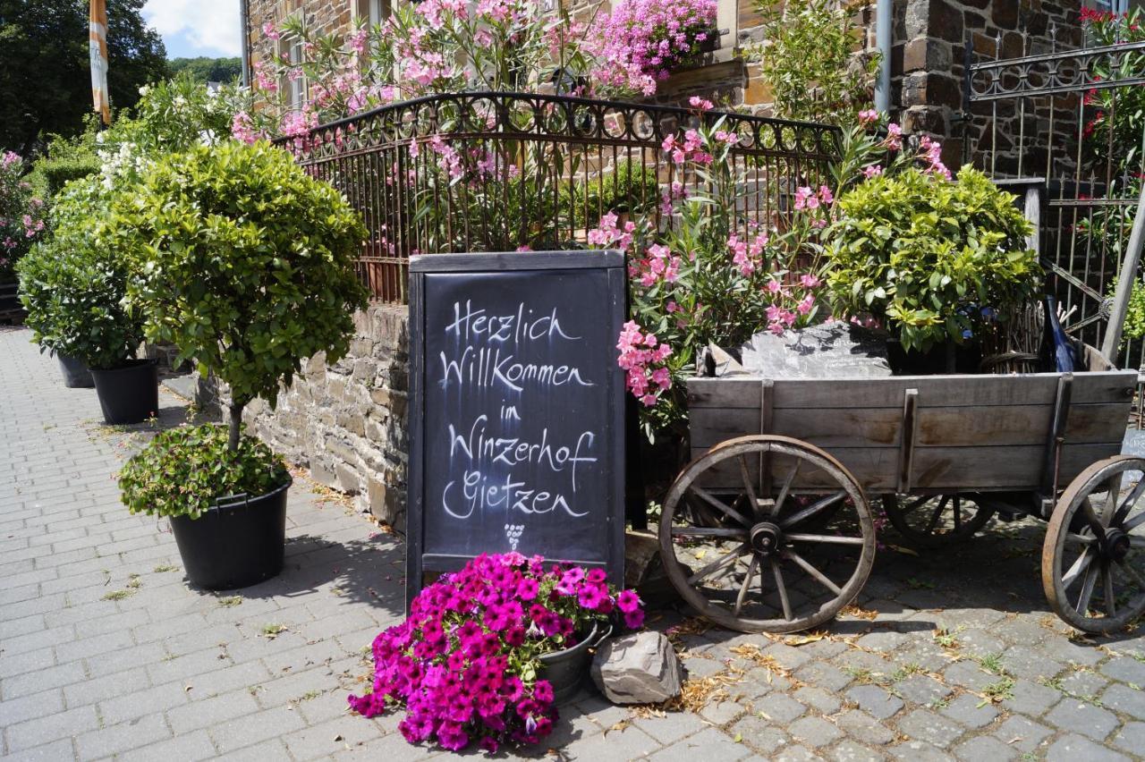فندق Winzerhof Gietzen Hatzenport المظهر الخارجي الصورة