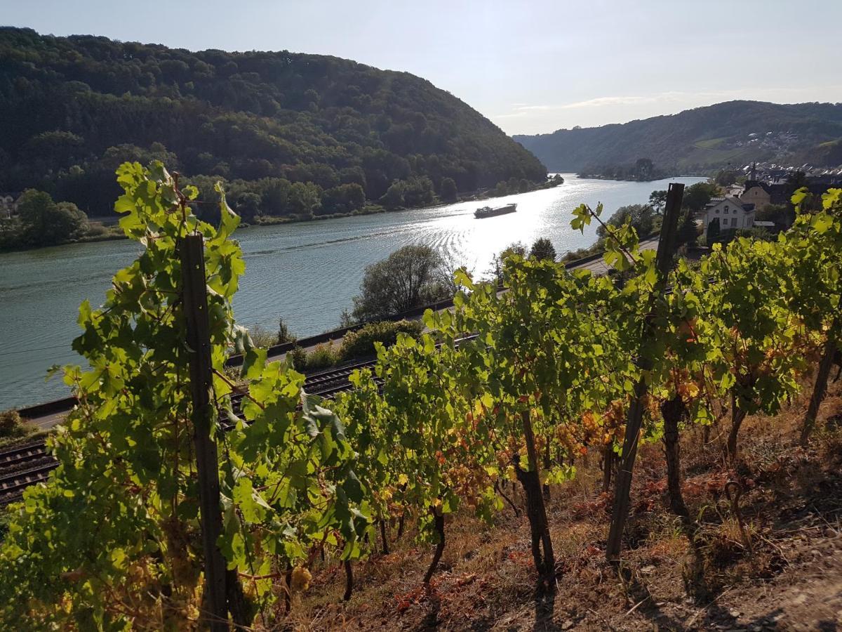 فندق Winzerhof Gietzen Hatzenport المظهر الخارجي الصورة