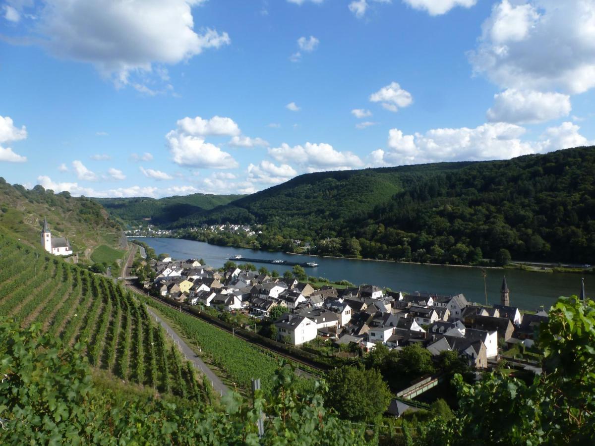 فندق Winzerhof Gietzen Hatzenport المظهر الخارجي الصورة