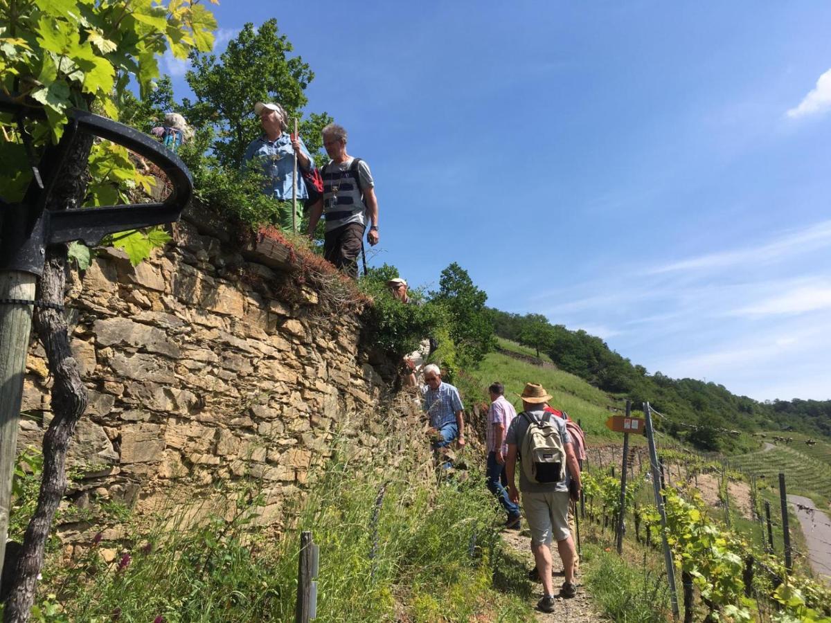 فندق Winzerhof Gietzen Hatzenport المظهر الخارجي الصورة