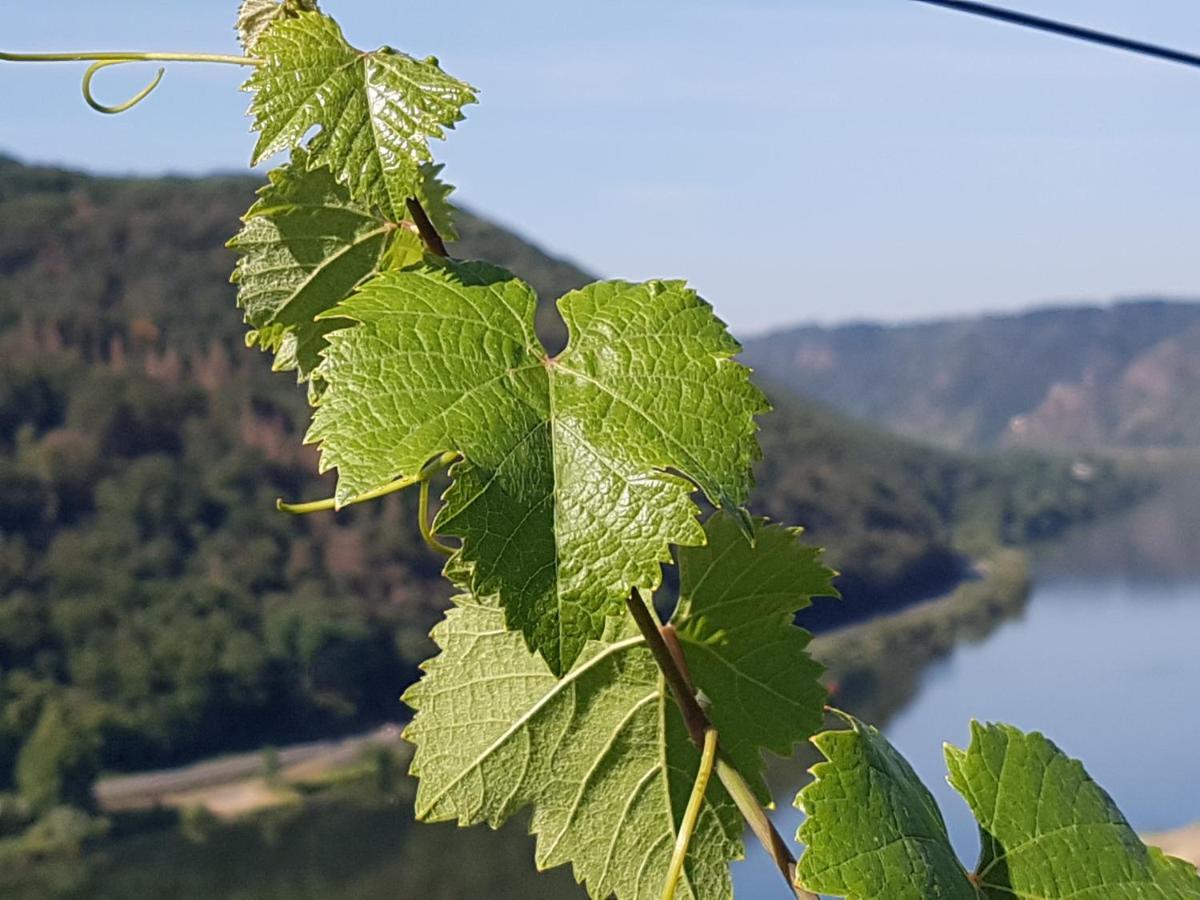فندق Winzerhof Gietzen Hatzenport المظهر الخارجي الصورة