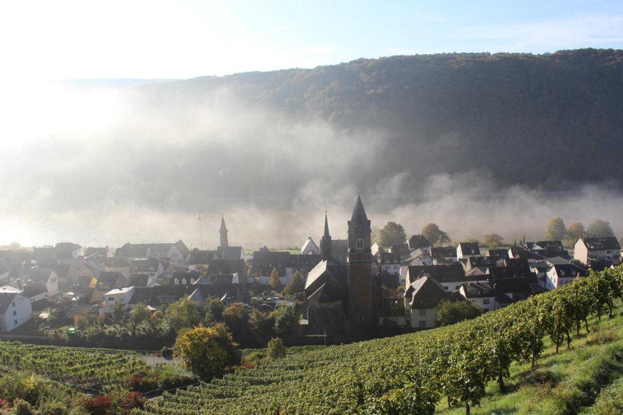 فندق Winzerhof Gietzen Hatzenport المظهر الخارجي الصورة