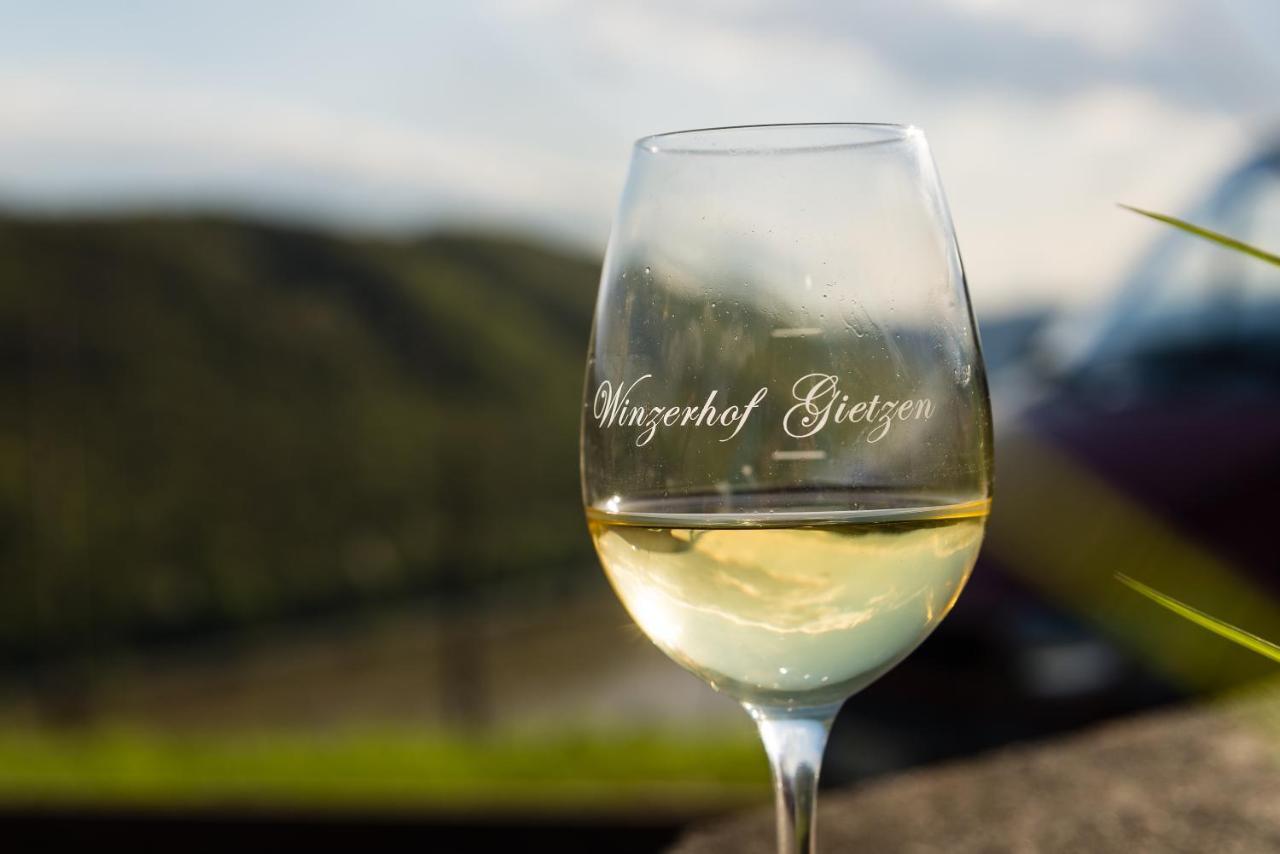 فندق Winzerhof Gietzen Hatzenport المظهر الخارجي الصورة