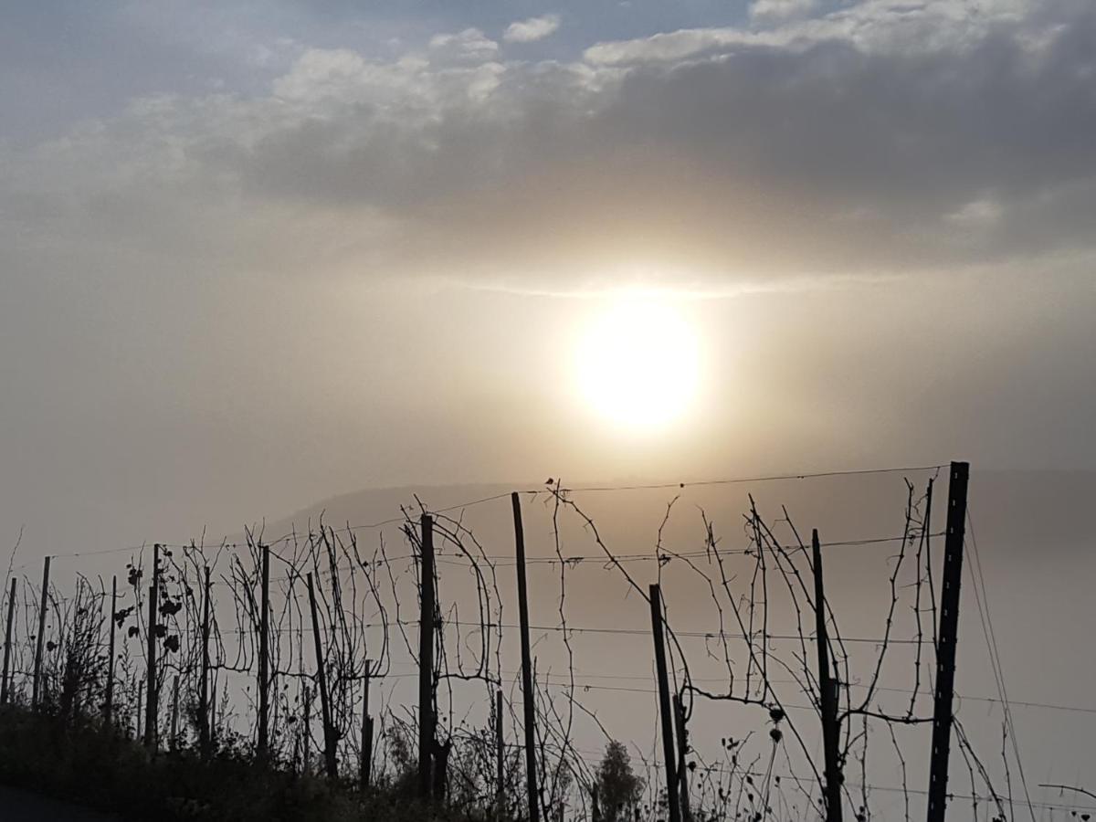 فندق Winzerhof Gietzen Hatzenport المظهر الخارجي الصورة